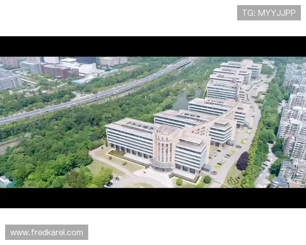 解析凯发国际k8官网登录的客户服务与支持体系