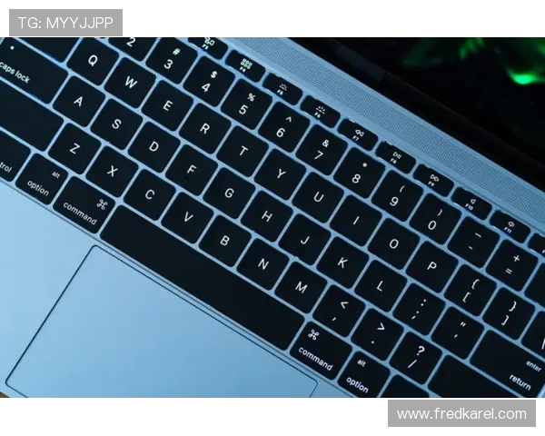 K8登陆下载会员登录功能介绍，帮助用户了解账号管理与安全措施